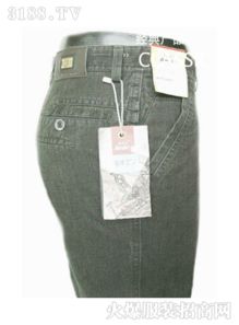 劲狮服装 经典与现代交融的品牌风范，最新产品全展示